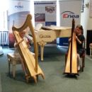 Ola Krzemińska z kl. I oraz Tosia Gandecka z kl. II zagrały na harfach celtyckich (uczennice R. Sękowskiej) 